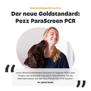 pezz Hunde Wurmtest PCR, umfassender Wurmcheck
