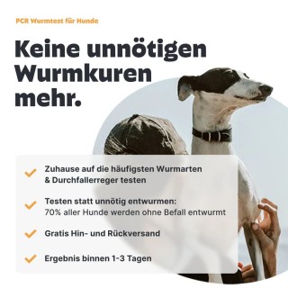 pezz Hunde Wurmtest PCR, umfassender Wurmcheck