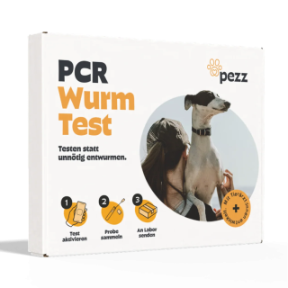 pezz Hunde Wurmtest PCR, umfassender Wurmcheck