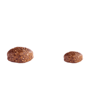 The GoodStuff Huhn (Puppy / Junior) 12.5kg, Trockenfutter, Hundefutter