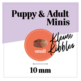 The GoodStuff Lachs (Puppy / Junior) 12.5kg, Trockenfutter, Hundefutter