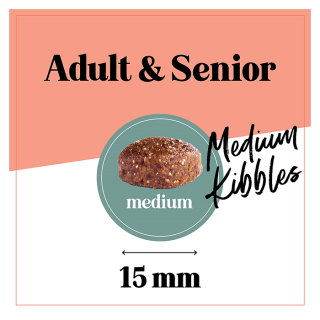 The GoodStuff Lachs (Senior / Adult Light) 12.5kg, Trockenfutter, Hundefutter