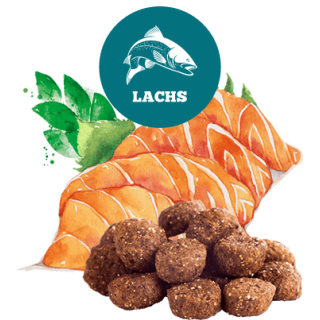 The GoodStuff Lachs (Adult) 12.5kg, Trockenfutter, Hundefutter