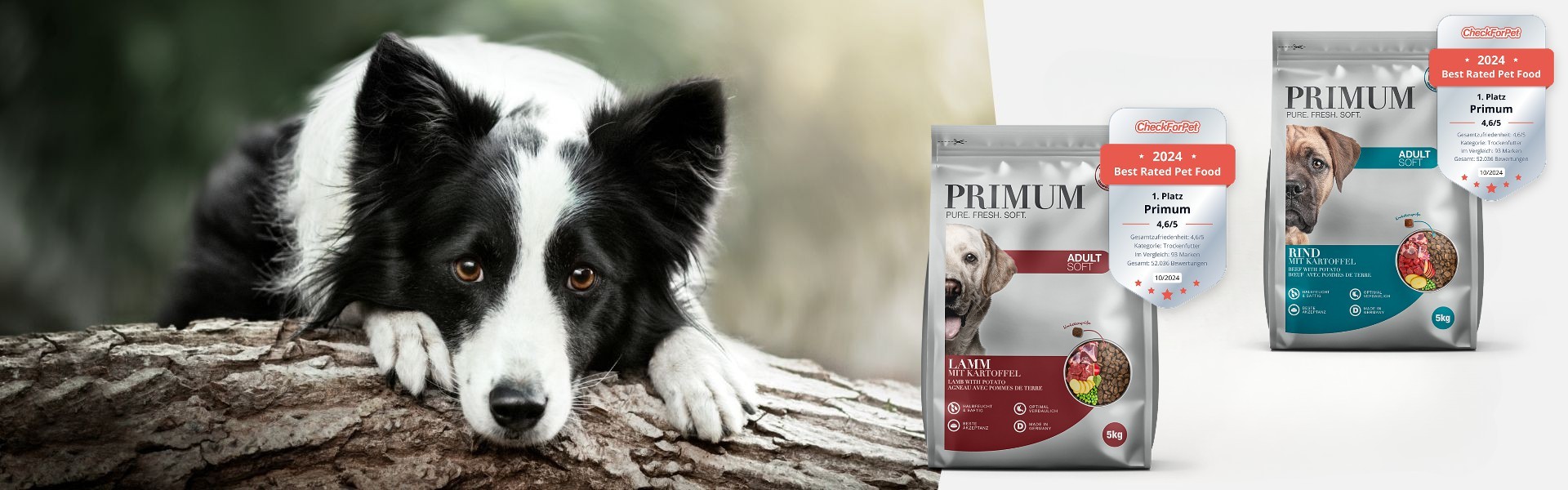 Best for pets